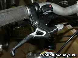 thmb00811