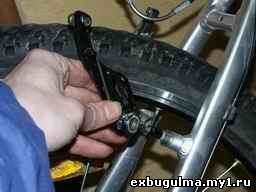 thmb0894