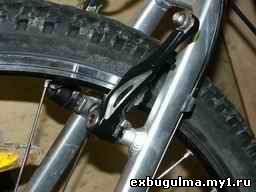 thmb0895