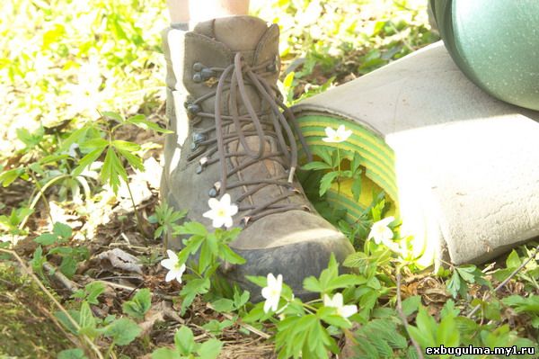 boot