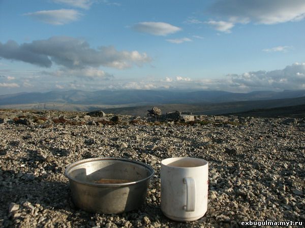 cup