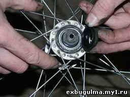 thmb0529