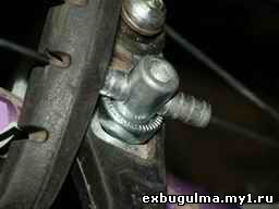 thmb0955