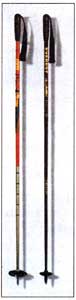 skicare 3